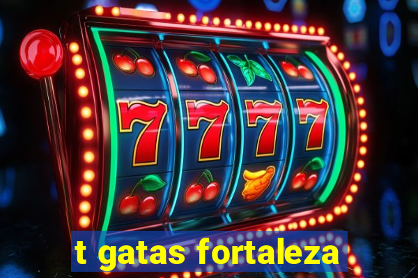 t gatas fortaleza